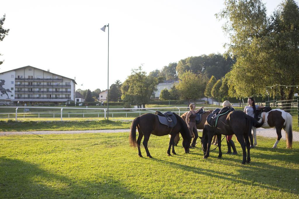 Hotel Reitzentrum Hausruckhof 앰플와임하우스룩왈드 외부 사진